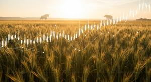 commodity trading strategies